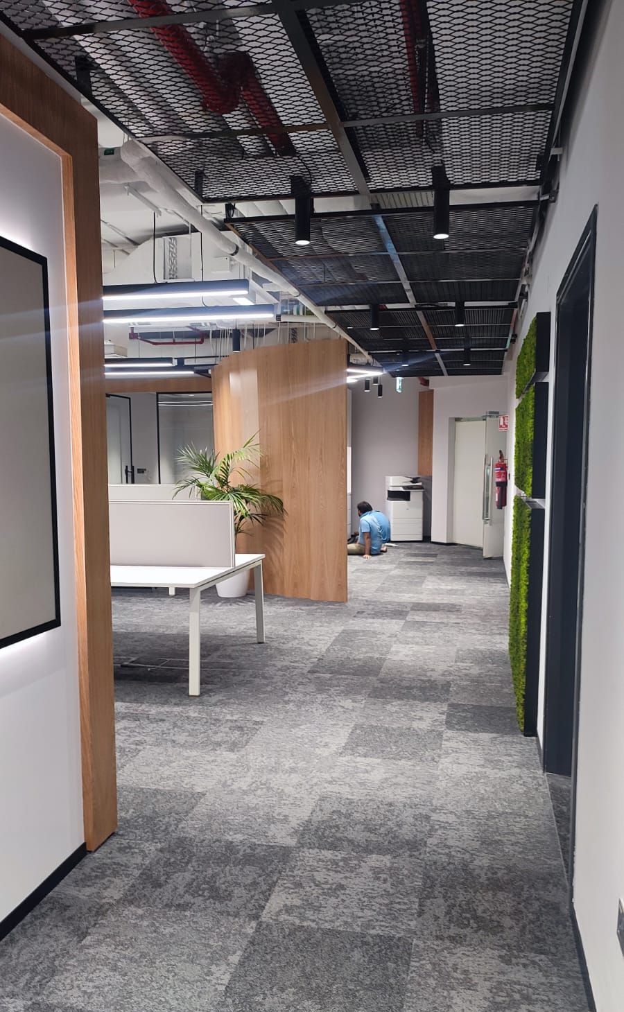 Office Fit-out — photo 4 of 13